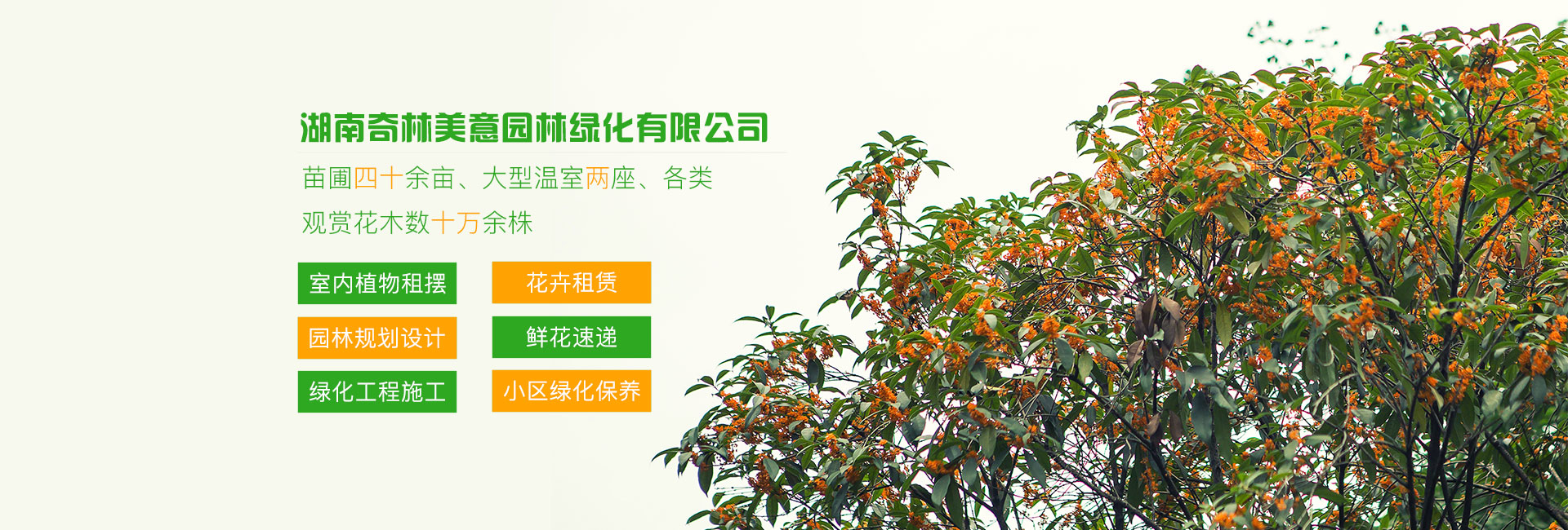 首页banner1