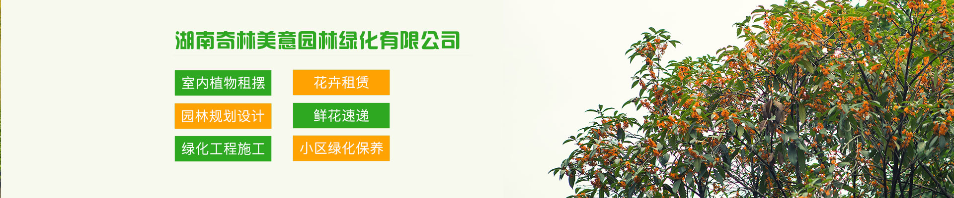 内页banner1