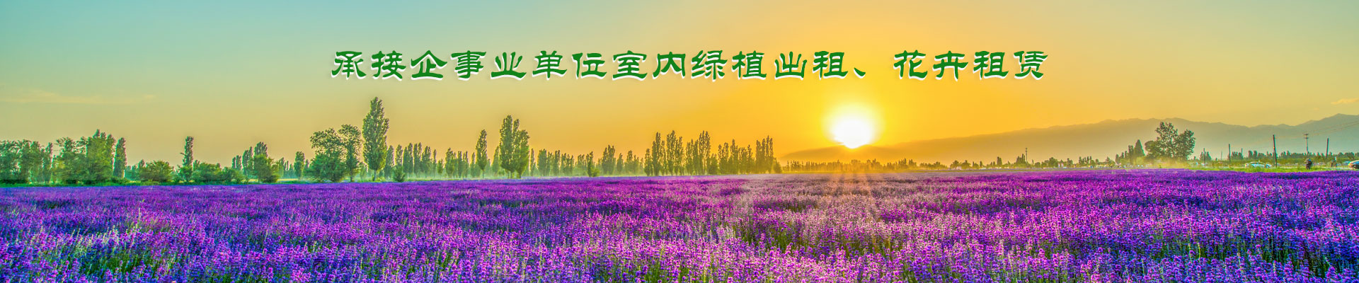 内页banner3